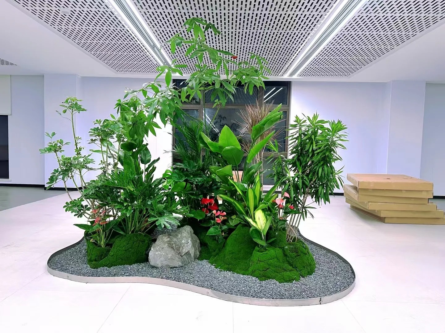 专业花卉租赁，宁波杭州湾点亮多彩空间