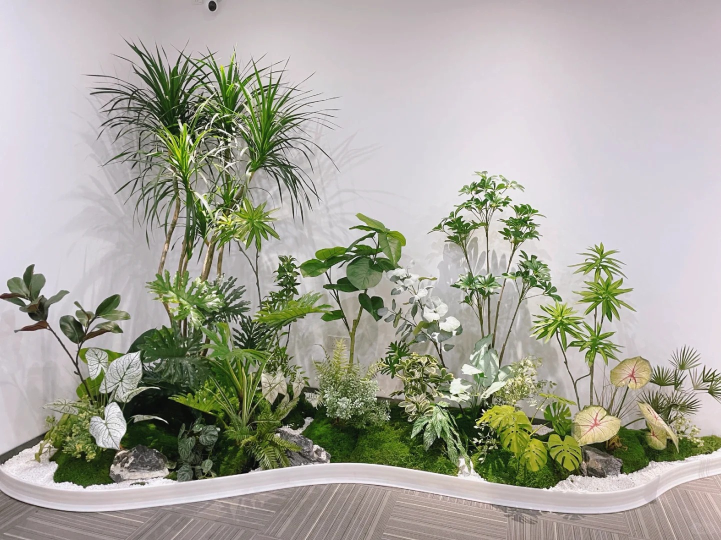 专业花卉租赁，宁波杭州湾点亮多彩空间